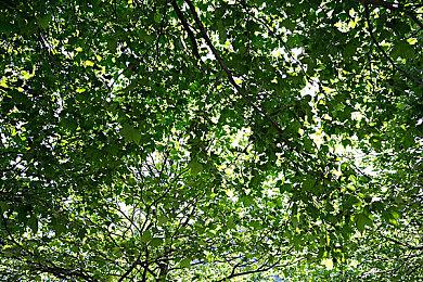 《刺客信条：影》重磅更新！艾吉奥经典长袍回归